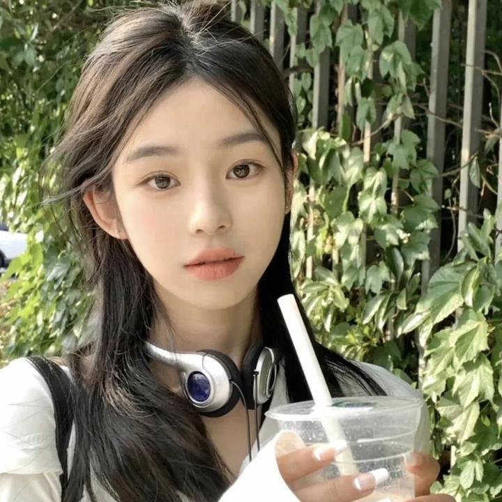 狗的生涯海报